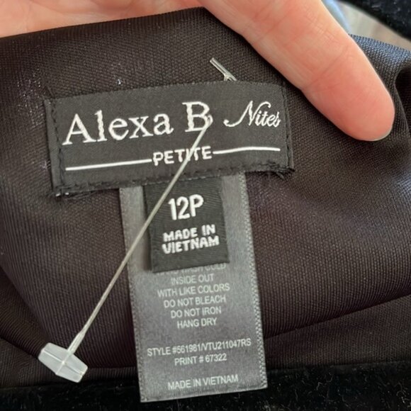 🆕 Alexa B. Nites shimmer maxi dress - Picture 9 of 10